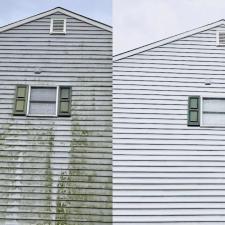 Reviving Vinyl Siding: Softwashing Success Story in St. Petersburg, FL 0